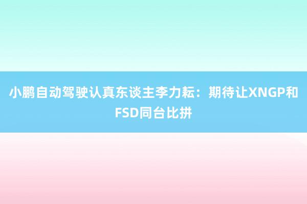 小鹏自动驾驶认真东谈主李力耘：期待让XNGP和FSD同台比拼