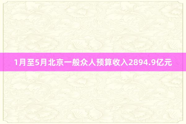 1月至5月北京一般众人预算收入2894.9亿元