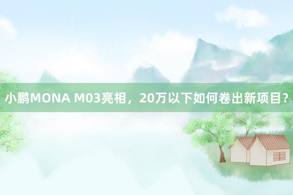 小鹏MONA M03亮相，20万以下如何卷出新项目？