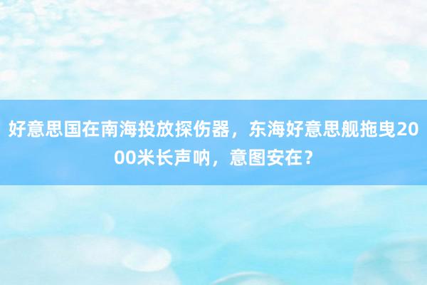 好意思国在南海投放探伤器，东海好意思舰拖曳2000米长声呐，意图安在？