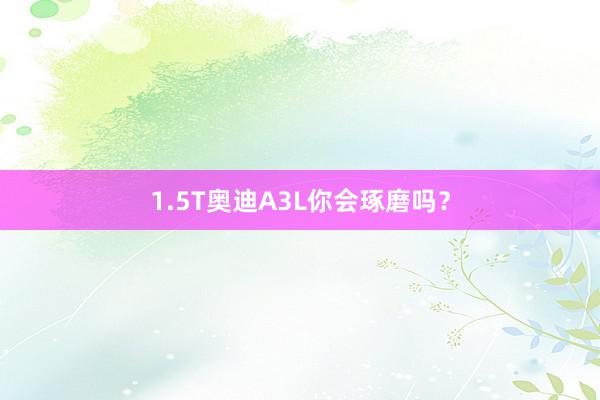 1.5T奥迪A3L你会琢磨吗？