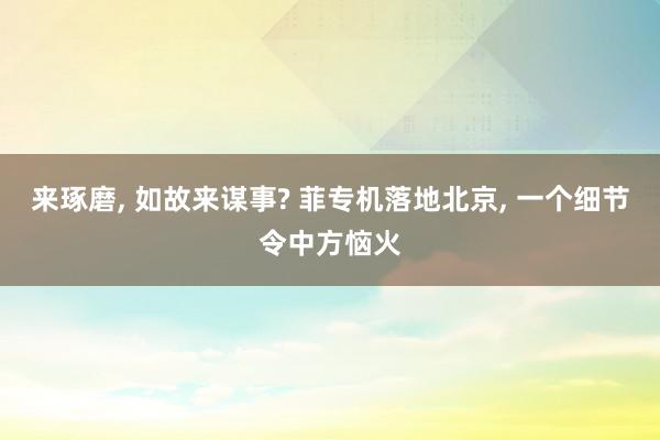 来琢磨, 如故来谋事? 菲专机落地北京, 一个细节令中方恼火